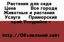 Растения для сада › Цена ­ 200 - Все города Животные и растения » Услуги   . Приморский край,Уссурийск г.